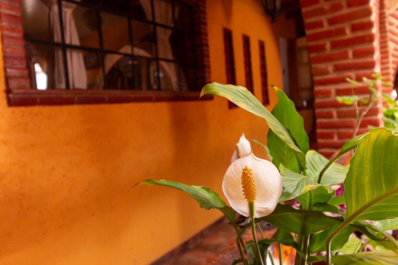 Mex Suites Casa Azul B&B Mexico City Ngoại thất bức ảnh