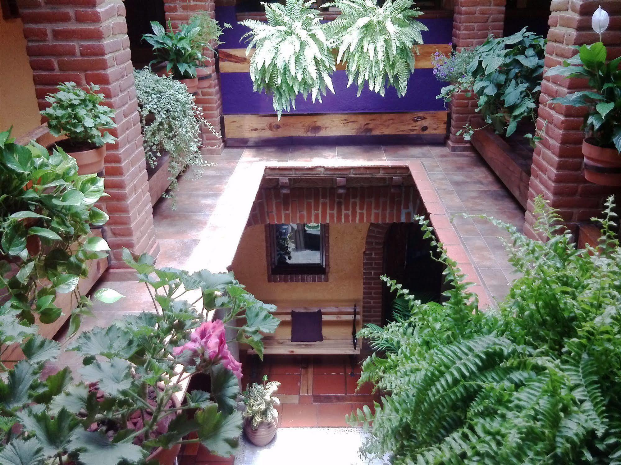 Mex Suites Casa Azul B&B Mexico City Ngoại thất bức ảnh